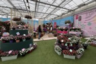 FlowerTrials