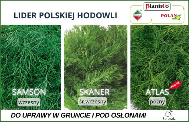 PlantiCo koper Skaner; koper Samson, koper Atlas, uprawa w gruncie, uprawa pod osłonami