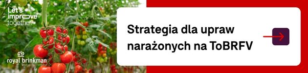 Royal Brinkman, uprawa pomidorów, wirus ToBRFV