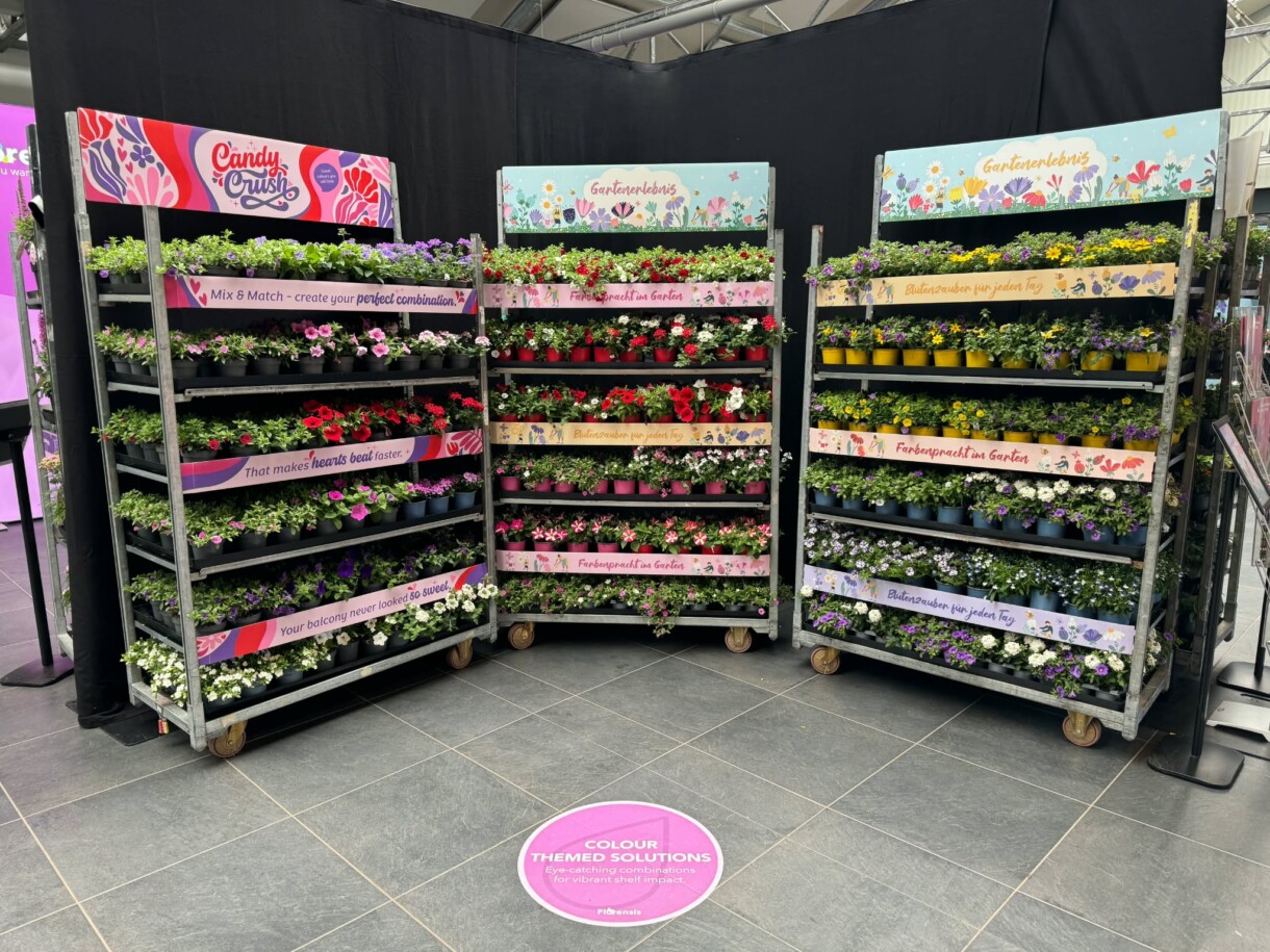 FlowerTrials 2026 w firmie Florensis (fot. MF)
