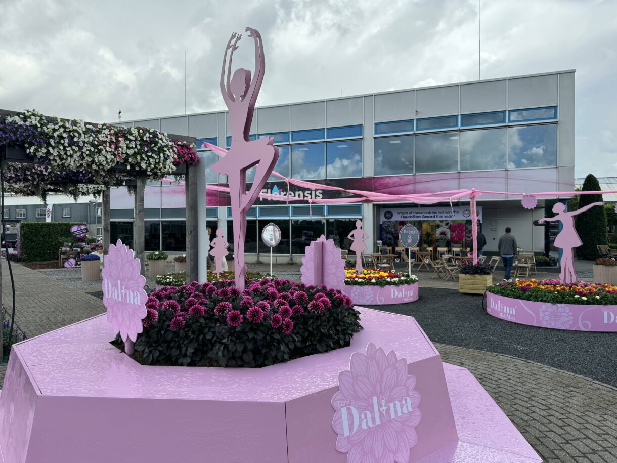 FlowerTrials 2026 w firmie Florensis (fot. MF)