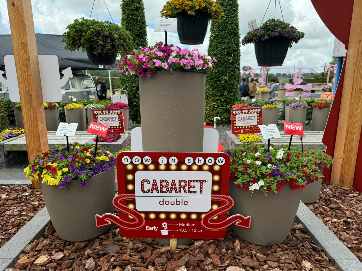 FlowerTrials 2026 w firmie Florensis (fot. MF)