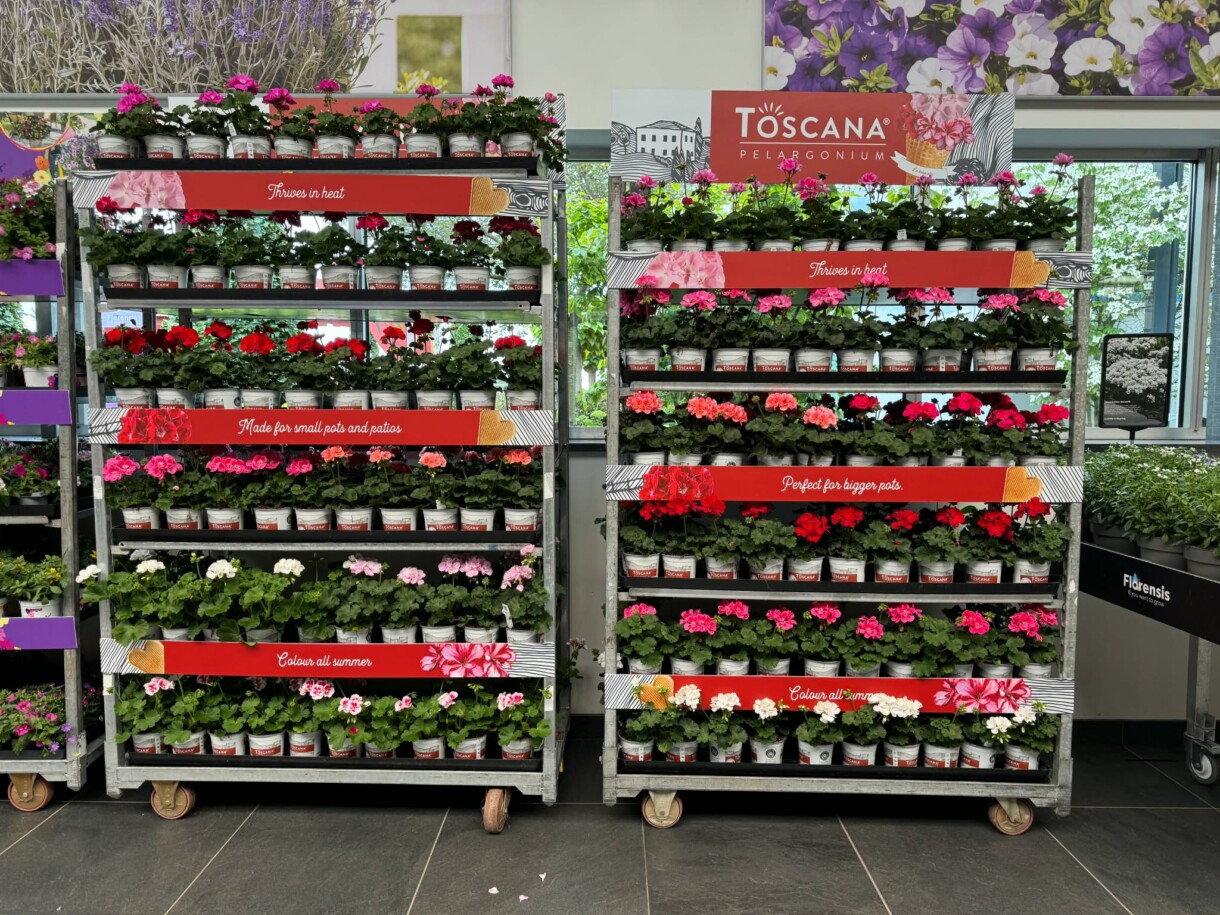 FlowerTrials 2026 w firmie Florensis (fot. MF)