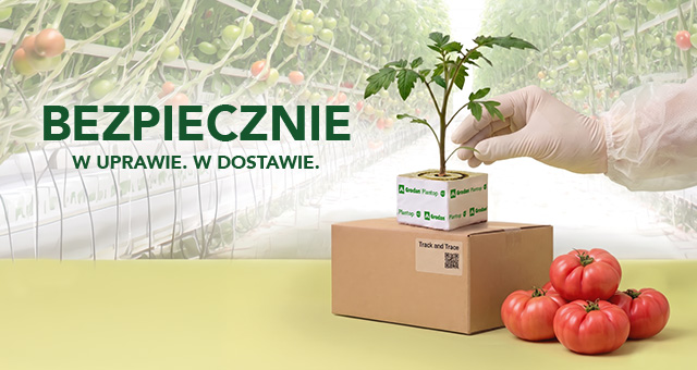 Grodan podłoze do uprawy pod osłonami