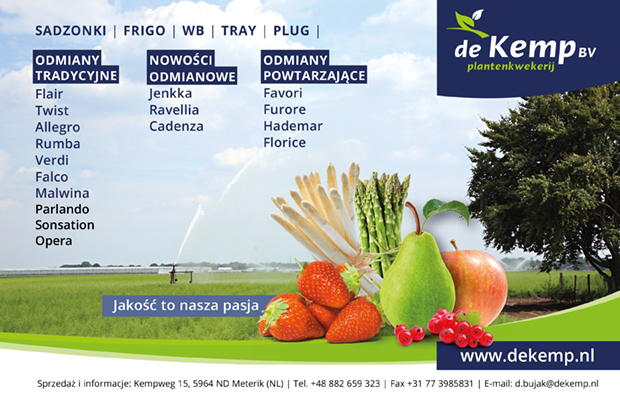 De Kemp, sadzonki truskawek
