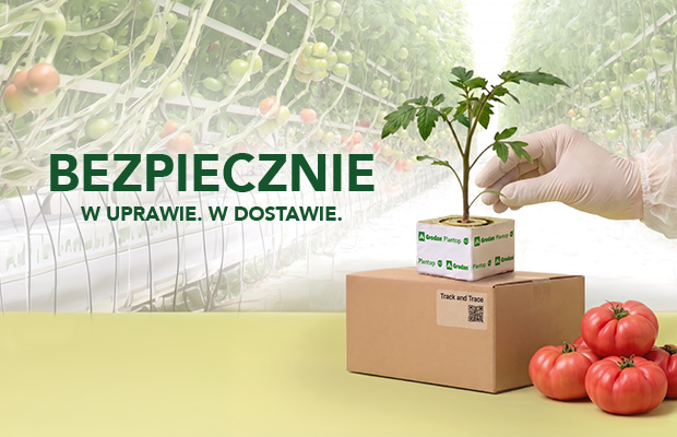 Grodan podłoże do uprawy pod osłonami