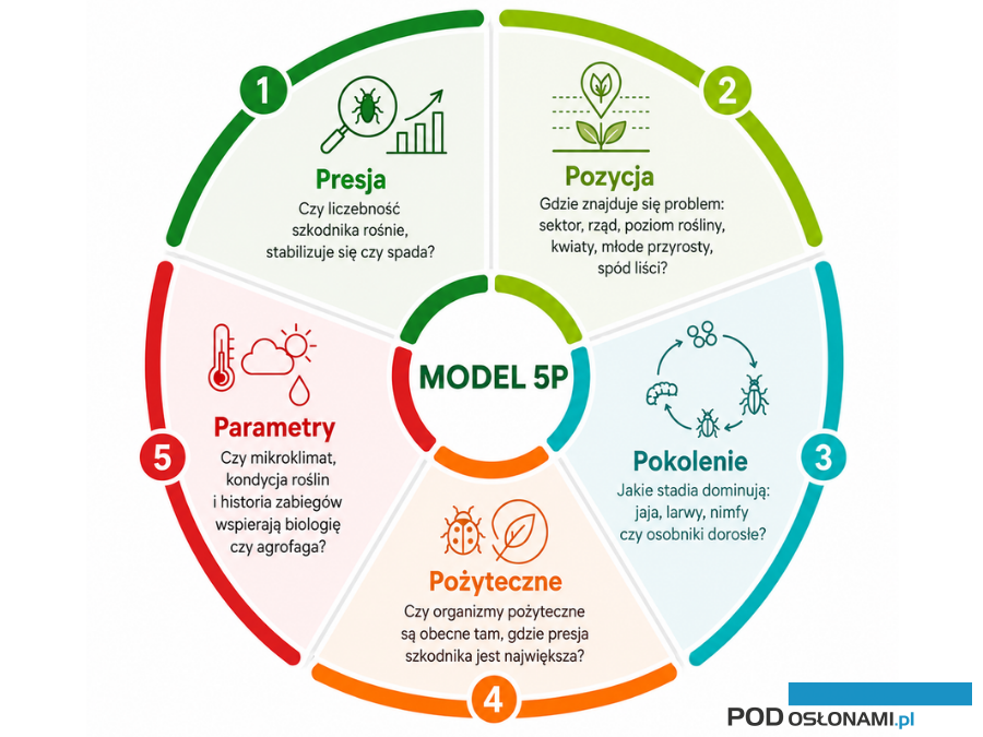 Model 5P w ocenie skuteczności ochrony biologicznej