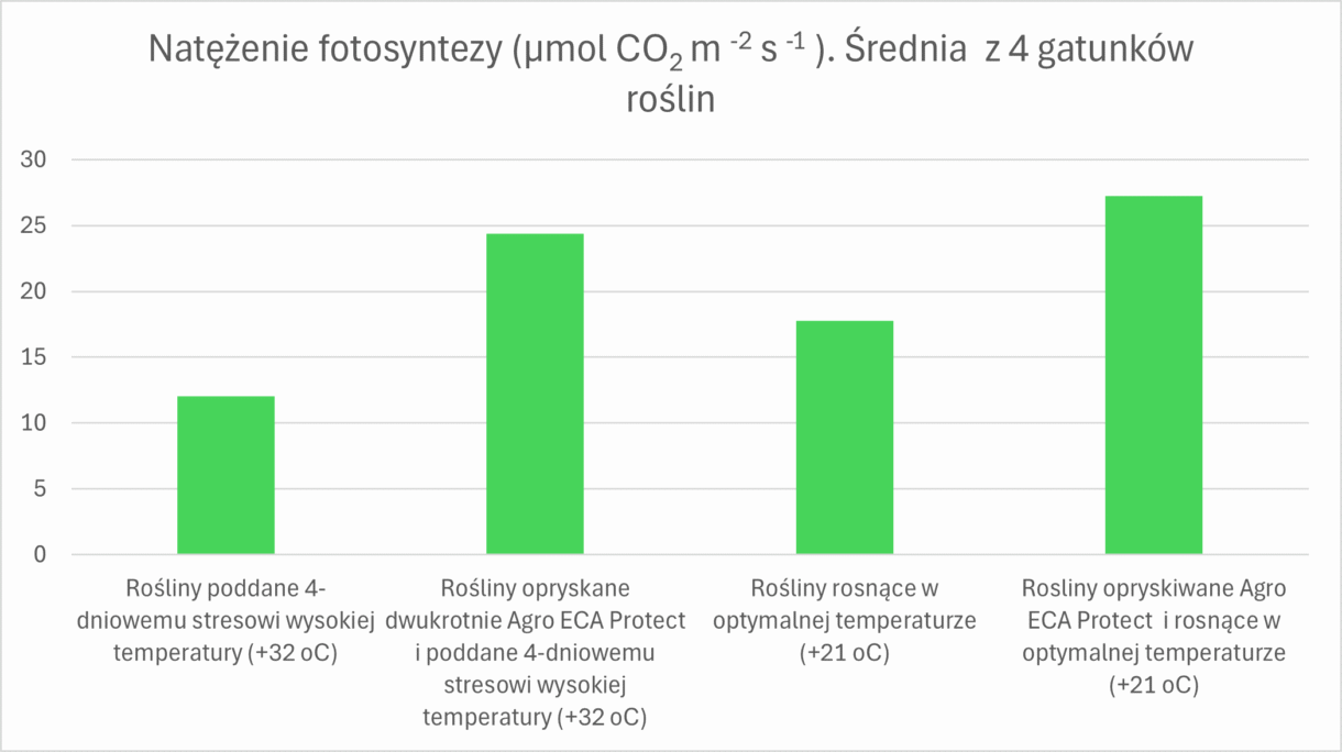 Natężenie fotosyntezy - średnia z 4 gatunków