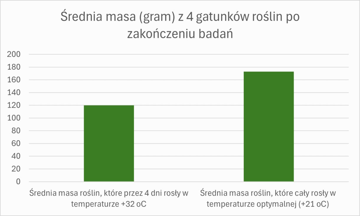 Średnia masa z 4 gatunków roślin po zakończeniu badań