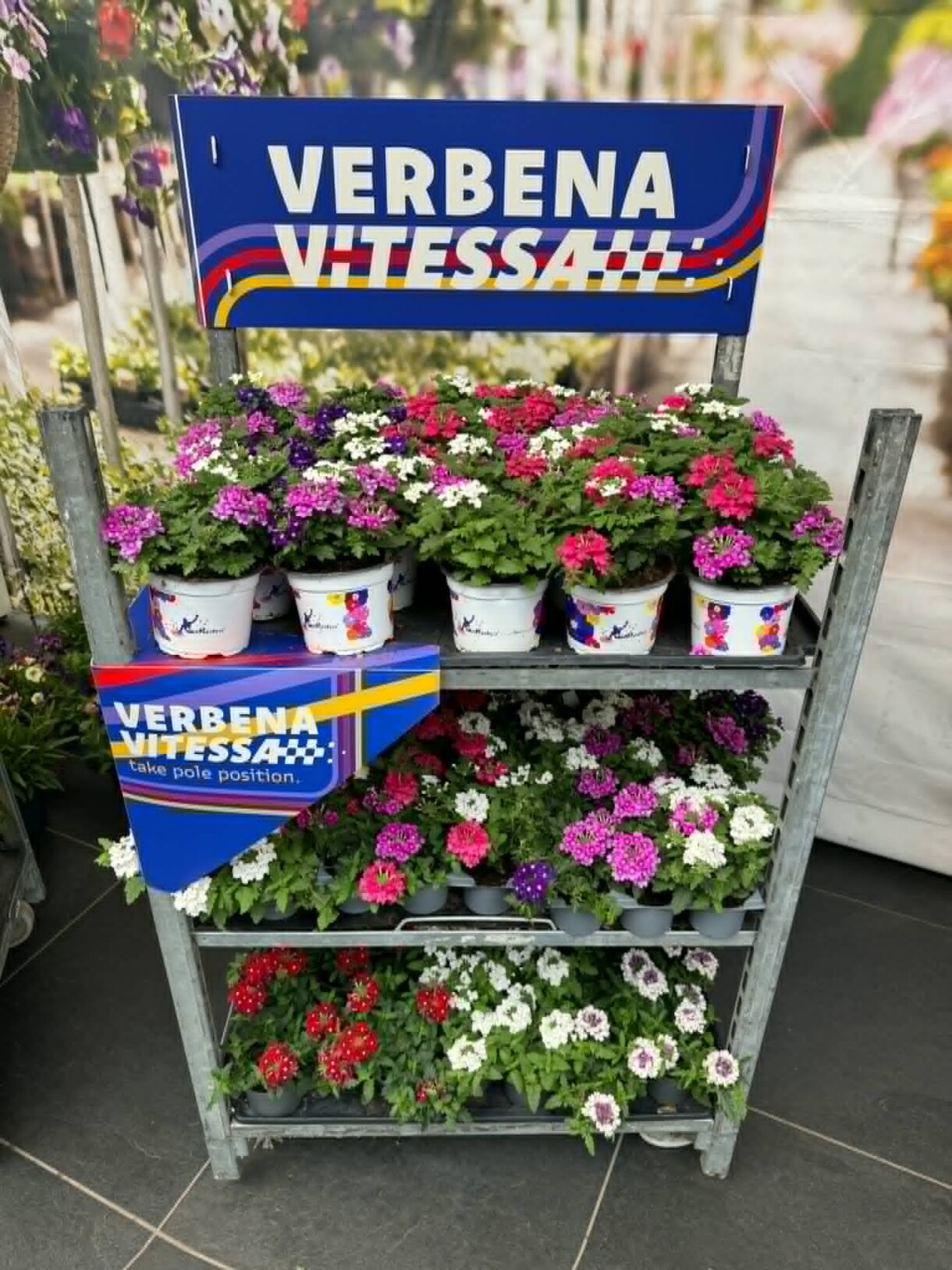 FlowerTrials 2026 w firmie Florensis (fot. MF)