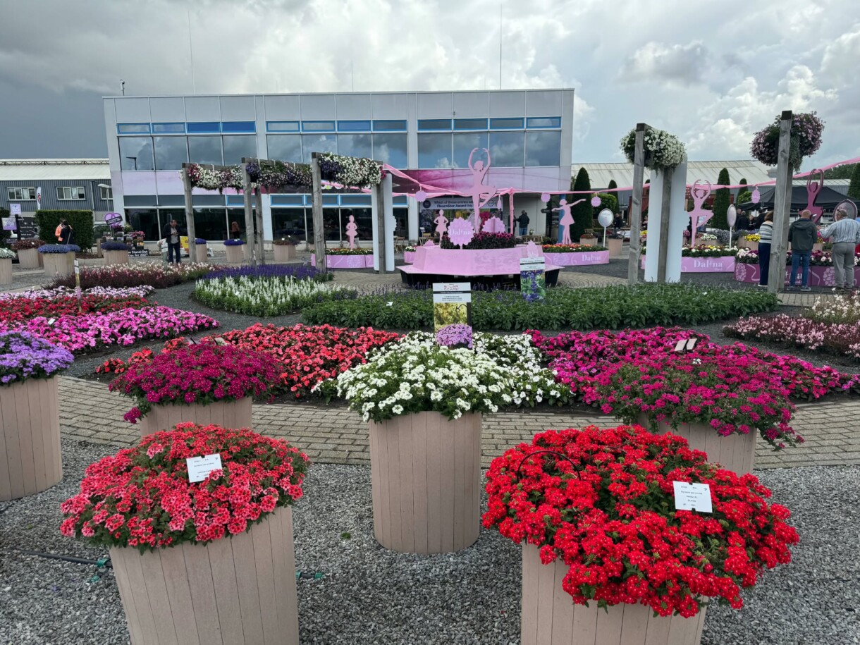 FlowerTrials 2026 w firmie Florensis (fot. MF)