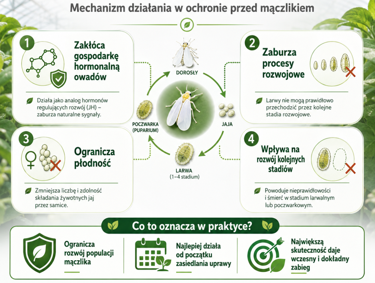 działanie piryproksyfenu
