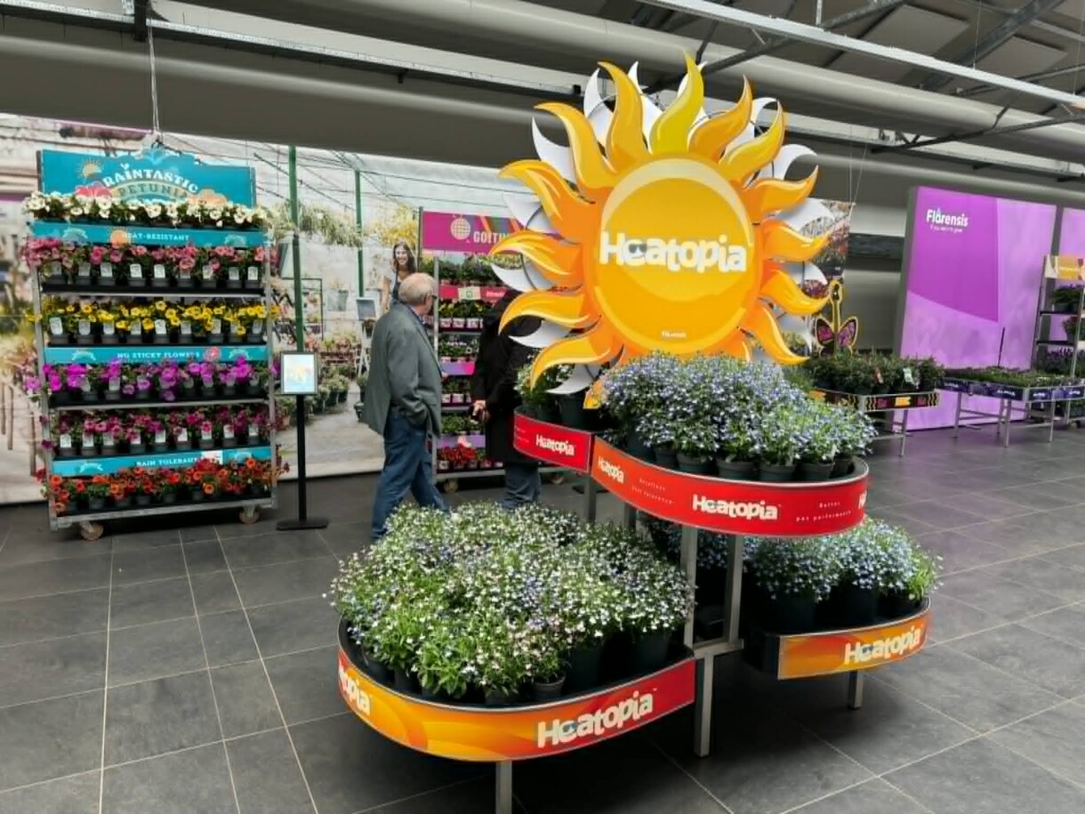 FlowerTrials 2026 w firmie Florensis (fot. MF)