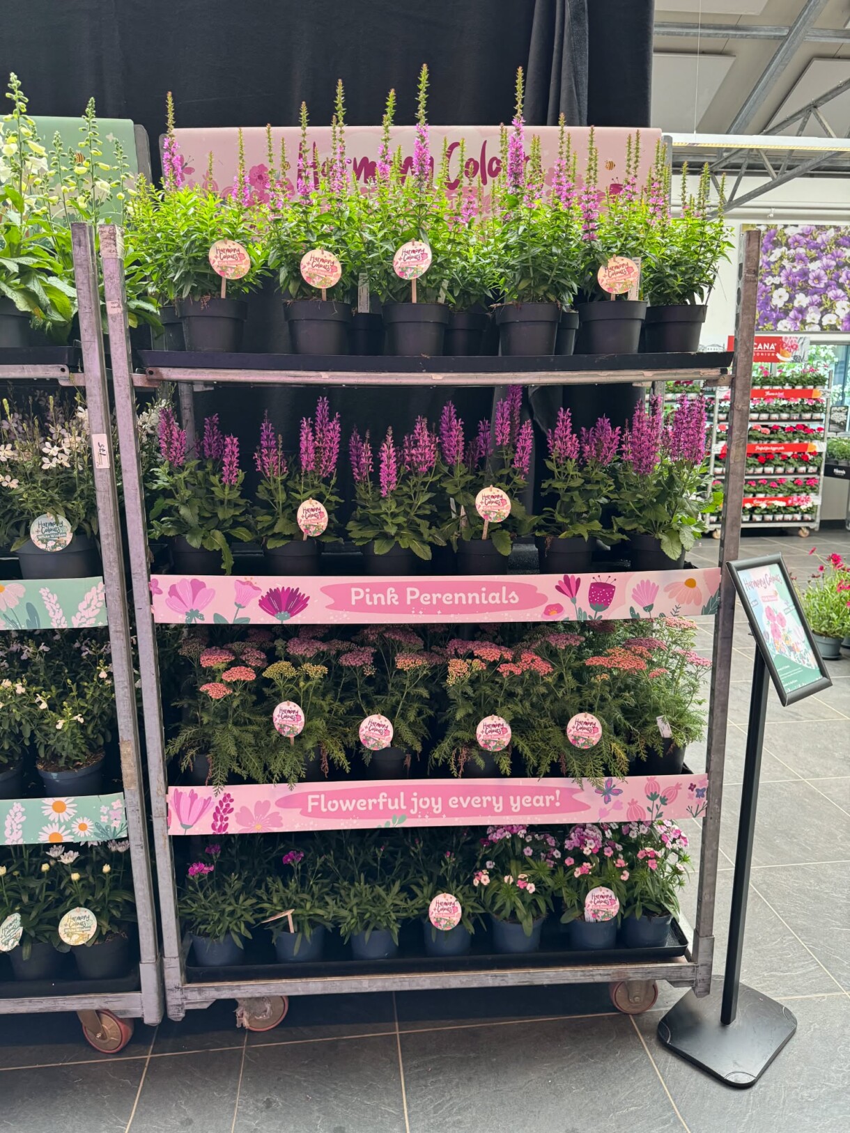 FlowerTrials 2026 w firmie Florensis (fot. MF)