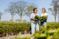 rośliny ozdobne, kwiaty, kwiaty z Holandii, sprzedaż kwiatów z Holandii (fot. Royal FloraHolland)
