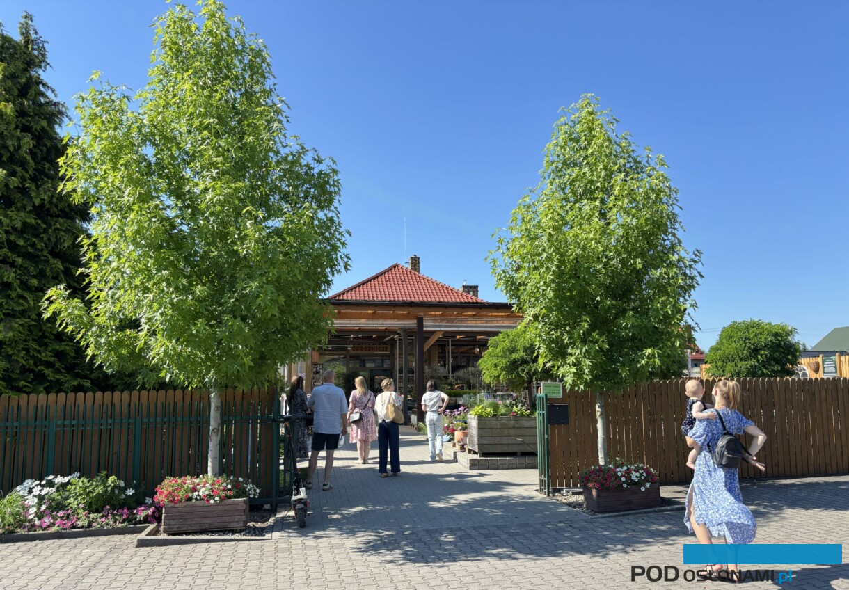 Polski rynek roślin ozdobnych