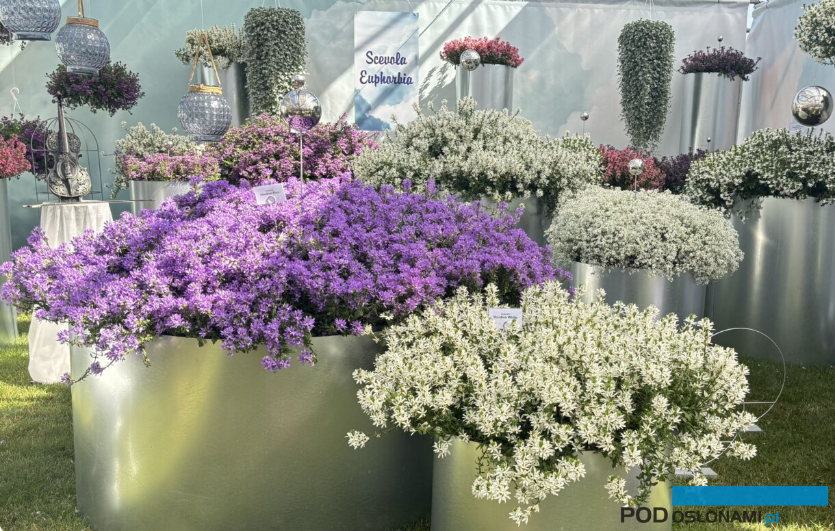 Plantpol 2026