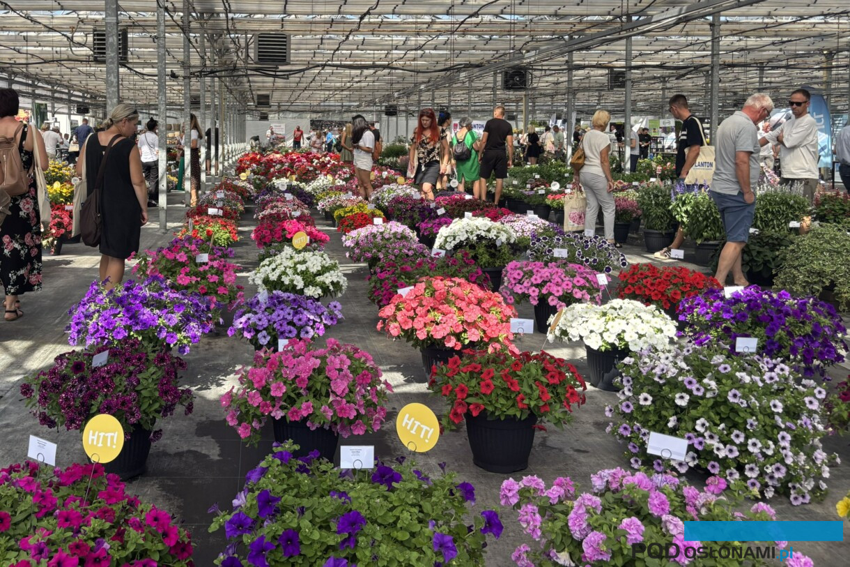 Plantpol 2026