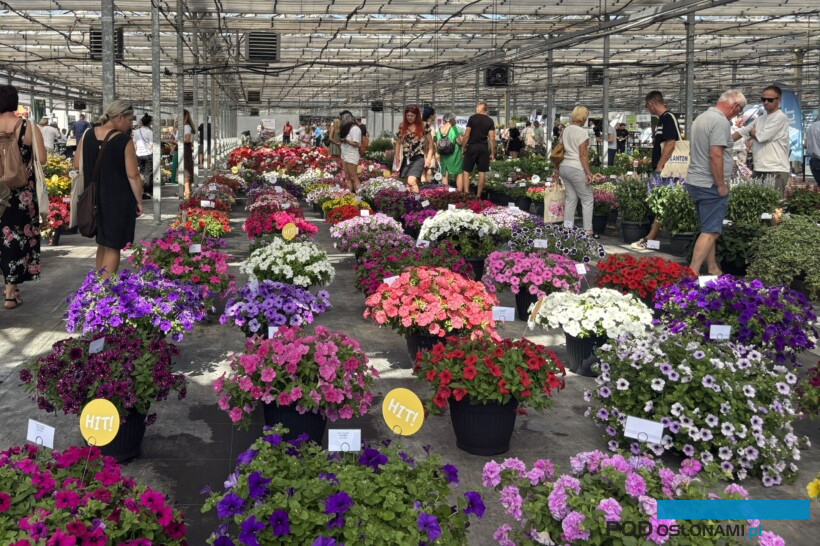 Plantpol 2026