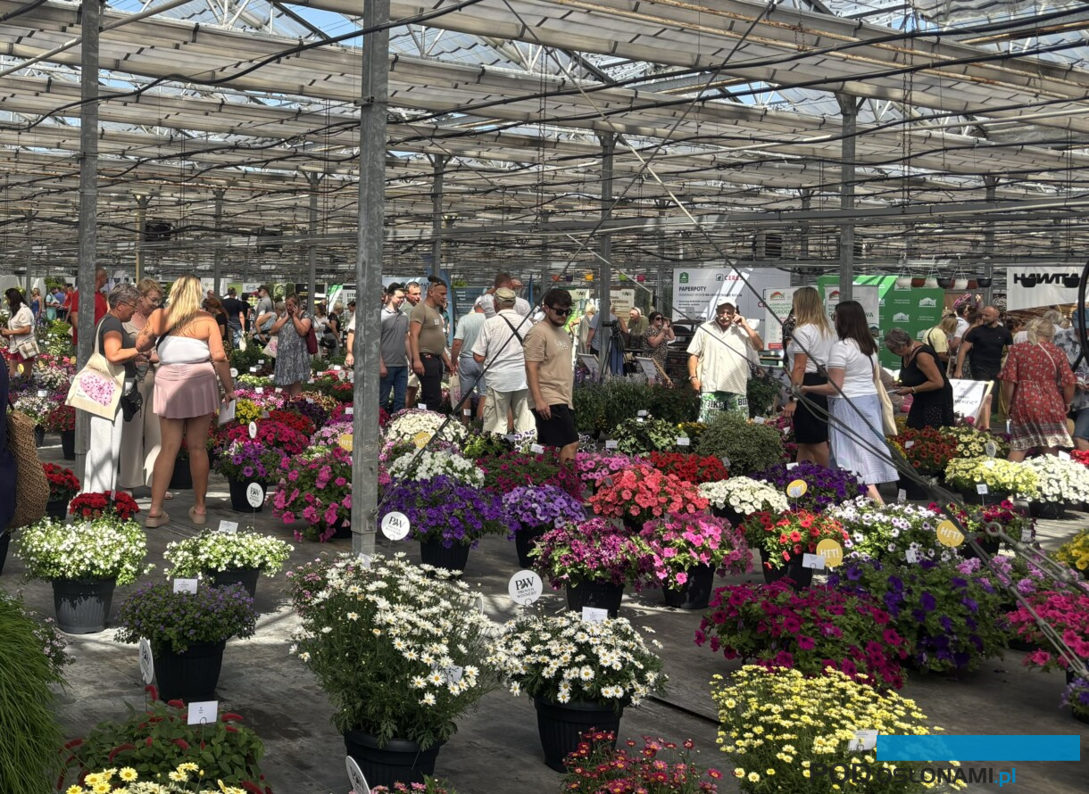 Plantpol 2026