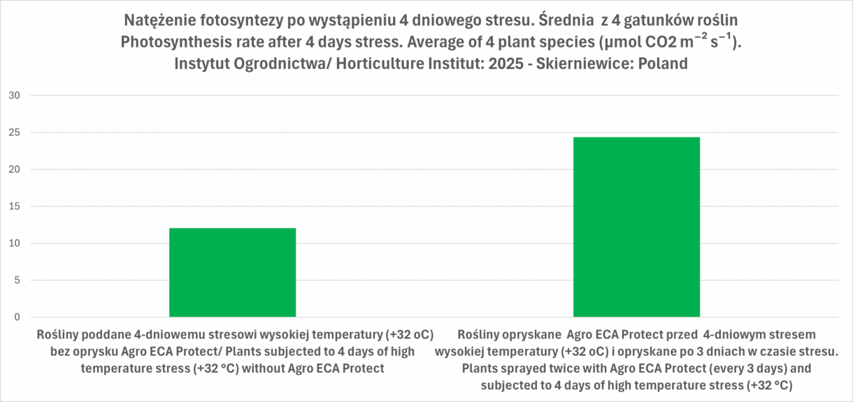 Wpływ opryskiwania roślin Agro ECA Protect (średnia z 4 gatunków) na natężenie fotosyntezy w warunkach stresowych. Wyniki badań przeprowadzonych w Instytucie Ogrodnictwa w Skierniewicach
