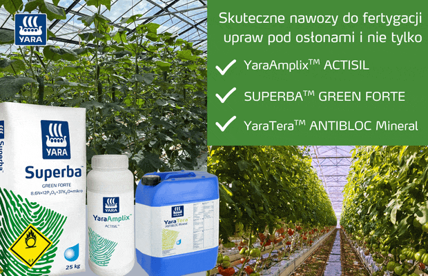 Yara Poland, nawozy do fertygacji, pomidor, nawożenie