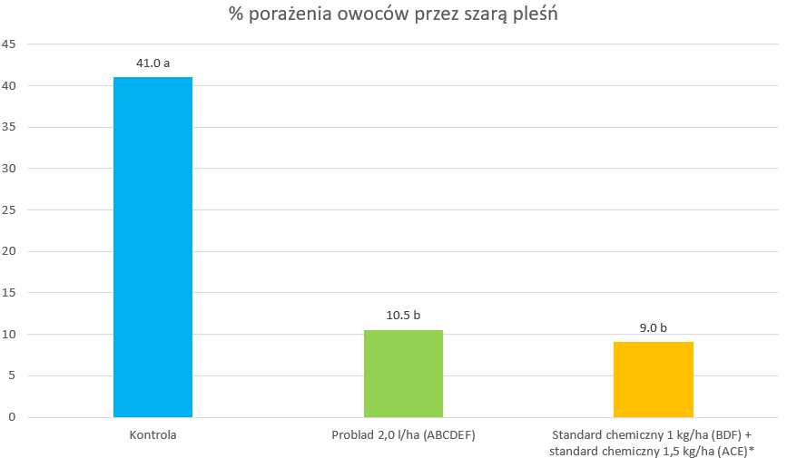 Porażenie owoców przez szarą pleśń (%) papryka