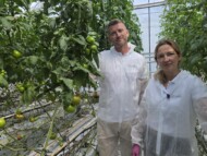 Maja Lis i Grzegorz Fic (Bayer - De Ruiter) oraz przy odmianie pomidora czerwonego Riboski (fot. AW)