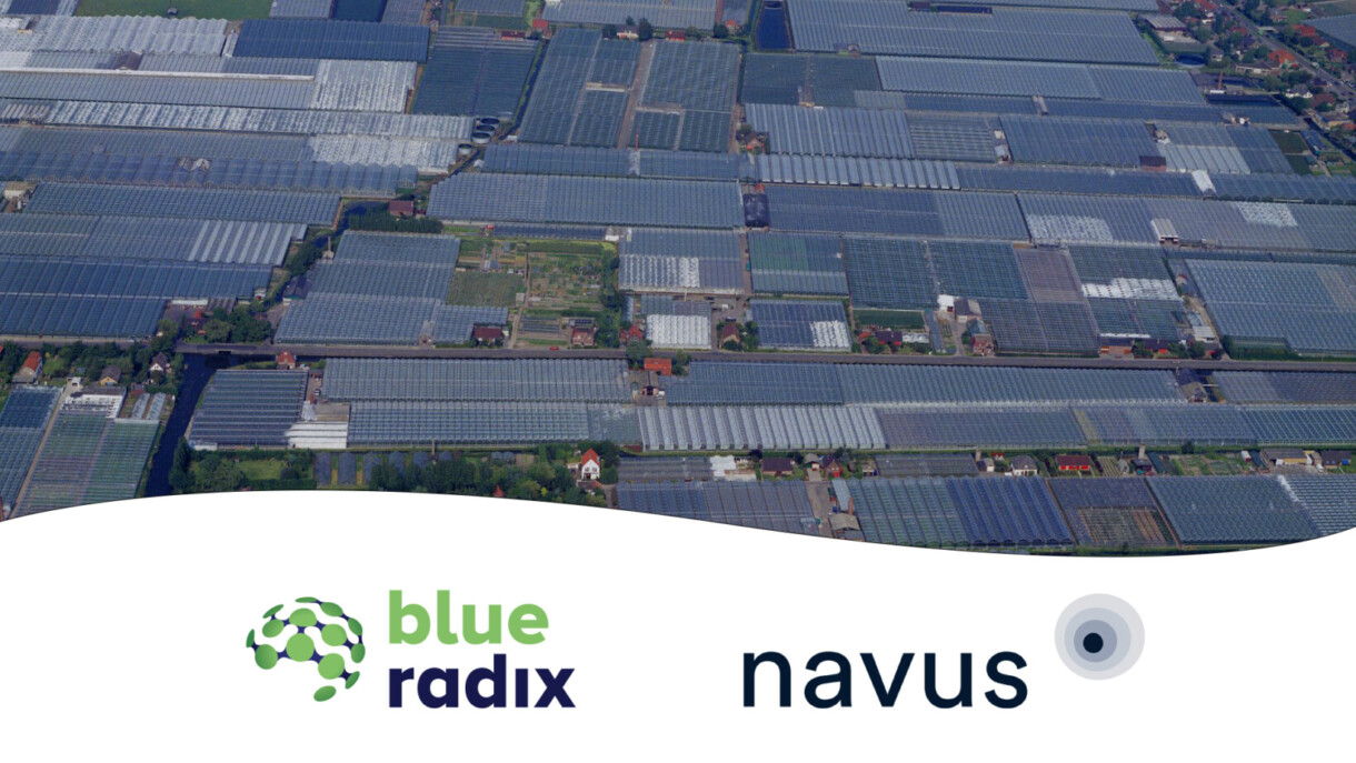 Navus i Blue Radix (fot. Blue Radix)