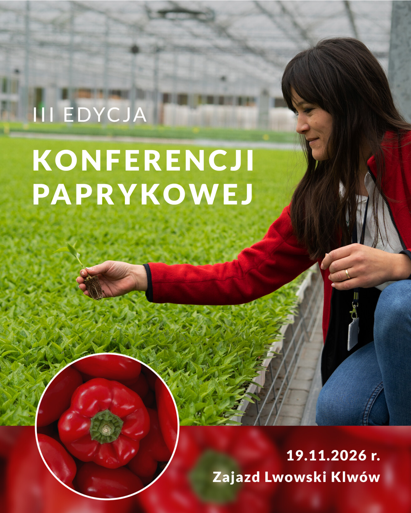 2026 Konferencja Paprykowa, Krasoń , produkcja rozsady