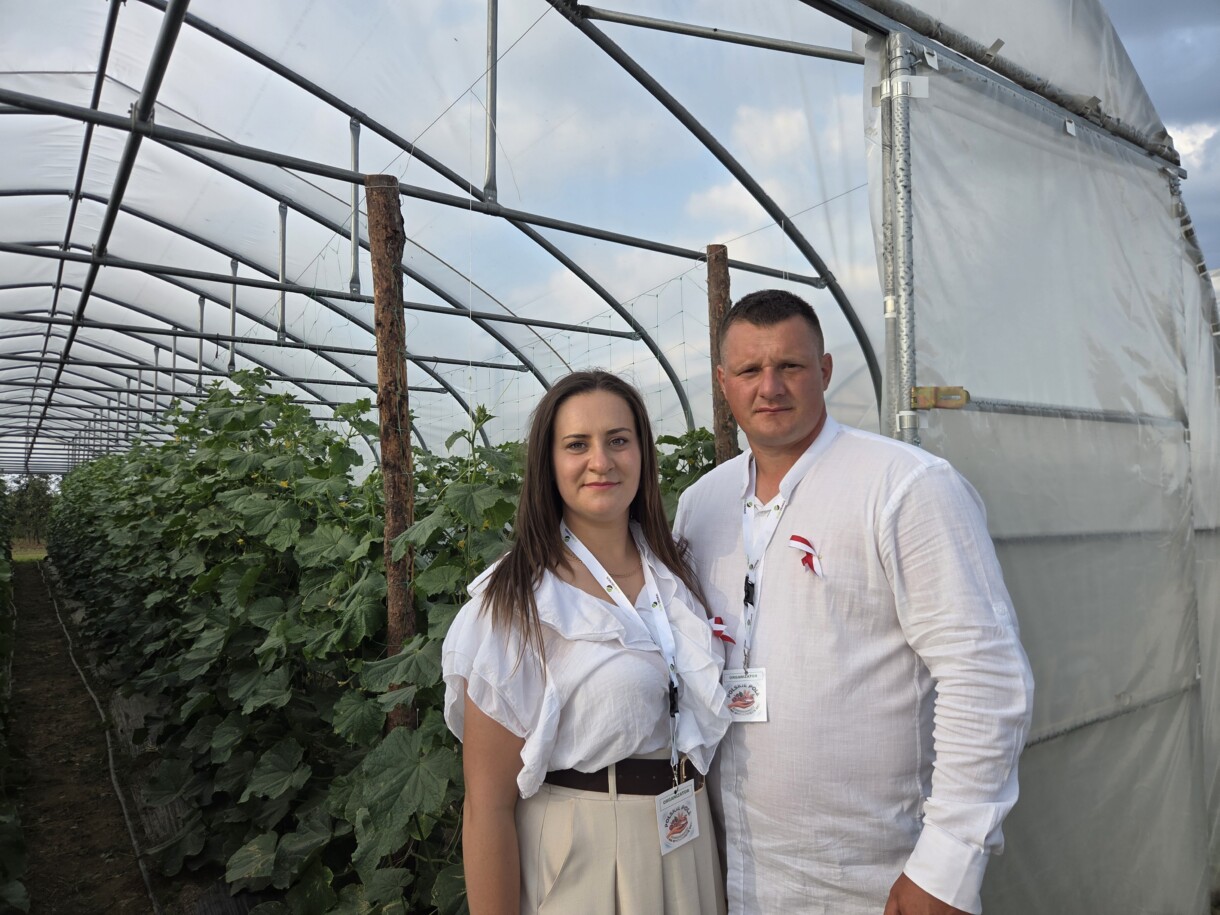 Uprawa warzyw tunelowych pod Sandomierzem jest prowadzona przez Państwa Siekiera