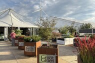 GrootGroenPlus 2026