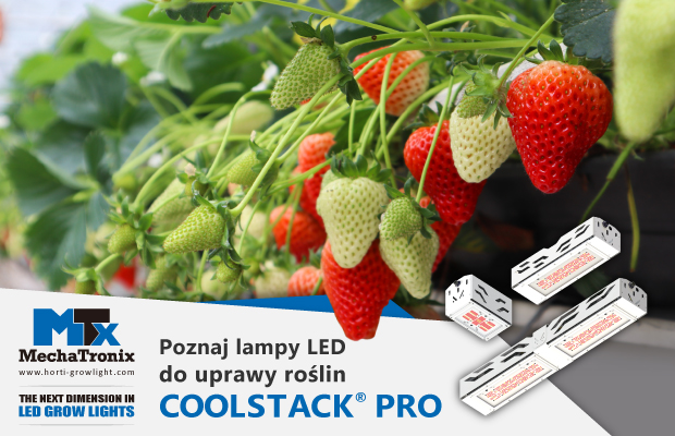 MechaTronix, doświetlenie upraw pod osłonami, uprawa w szklarni, lampy LED do uprawy roślin, Coolstack PRO