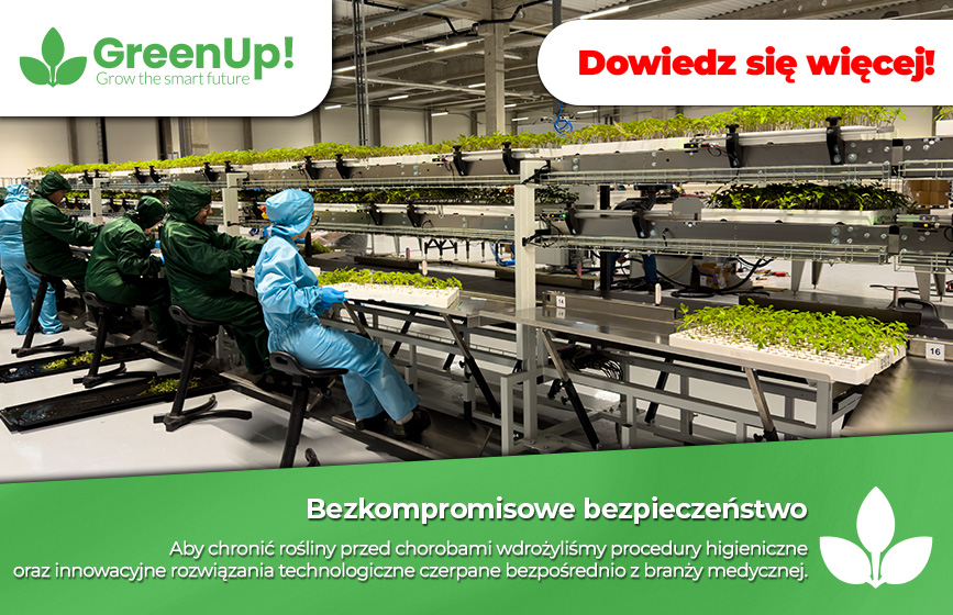Citronex produkcja rozsady uprawa warzyw, uprawa w szklarni, uprawa warzyw w polu