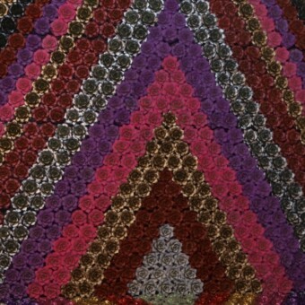 Wystawowa „ścianka” z barwionych sukulentów doniczkowych 