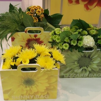 Chryzantemy – inaczej