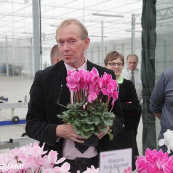 Bart Kurijer gratulował polskiemu producentowi wyprodukowania tak okazałych cyklamenów z grupy Maxora