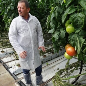 Bardzo dużo informacji na temat produkcji pomidorów w polskich warunkach udzielił odwiedzającym specjalista z firmy Azelis Mieczysław Głaczkowski
