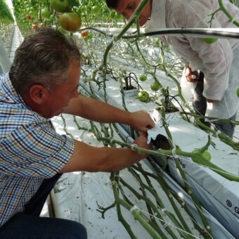 Tu również stosuje się preparat Resistim – Zbigniew Górczyński otwiera matę aby…