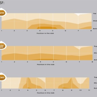 Horyzontalny profil rozkładu EC w macie, w zależności od wielkości współczynnika DSF