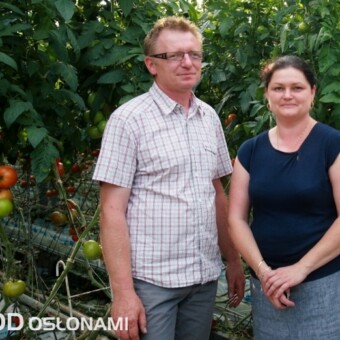 Adrianna i Roman Biadałowie ciągle modernizują swoje szklarnie i usprawniają procesy produkcyjne, fot. 1-3 M. Podymniak