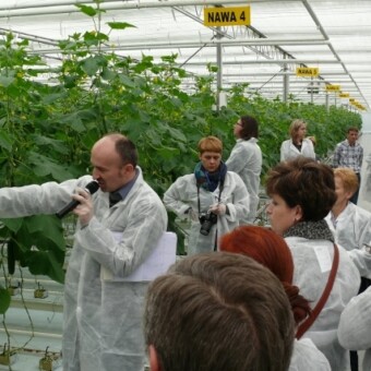 Na temat odmiany ogórka Meleas RZ F1 mówił Wojciech Wasiak