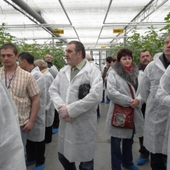 Podczas zwiedzania plantacji