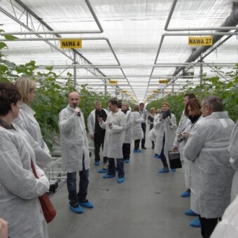 Aby ograniczyć straty energii w szklarni wykorzystywane są kurtyny