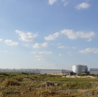 Nowa szklarnia "Ogrodnictwa Dziubek", fot. 1-12 M.Domoń