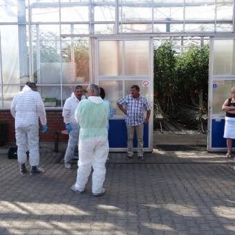 Przed prezentacją uprawy