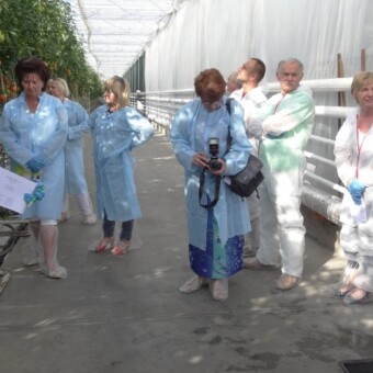 Podczas prezentacji pomidora Fizuma F1 w szklarni