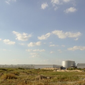 "Ogrodnictwo Dziubek" powiększyło się w tym roku o nowoczesny, zajmujący powierzchnię 5,5ha, obiekt, fot. 1-8 M.Domoń