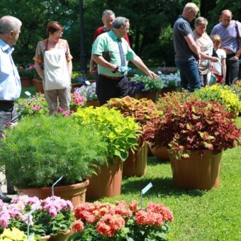 Zainteresowanych nowymi kreacjami hodowlanymi oprowadzali przedstawiciele Florensis Polska 