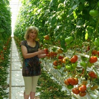 Początek plonowania Foronti w uprawie prowadzonej przez Grażynę Szklarz